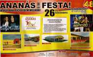 Cartaz Eventos Ananás