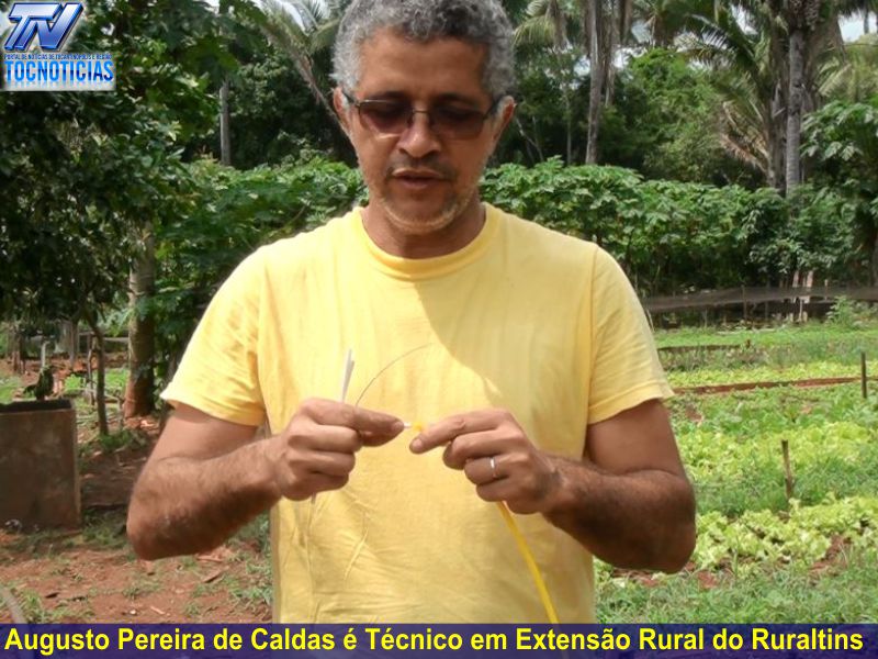 imagem do site www.tocnoticias.com.br