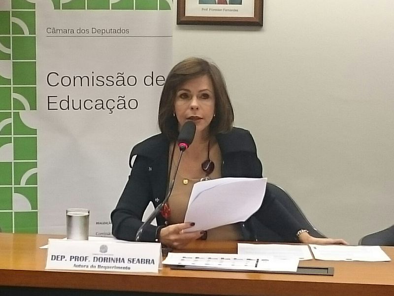 Ascom/Deputada Professora Dorinha