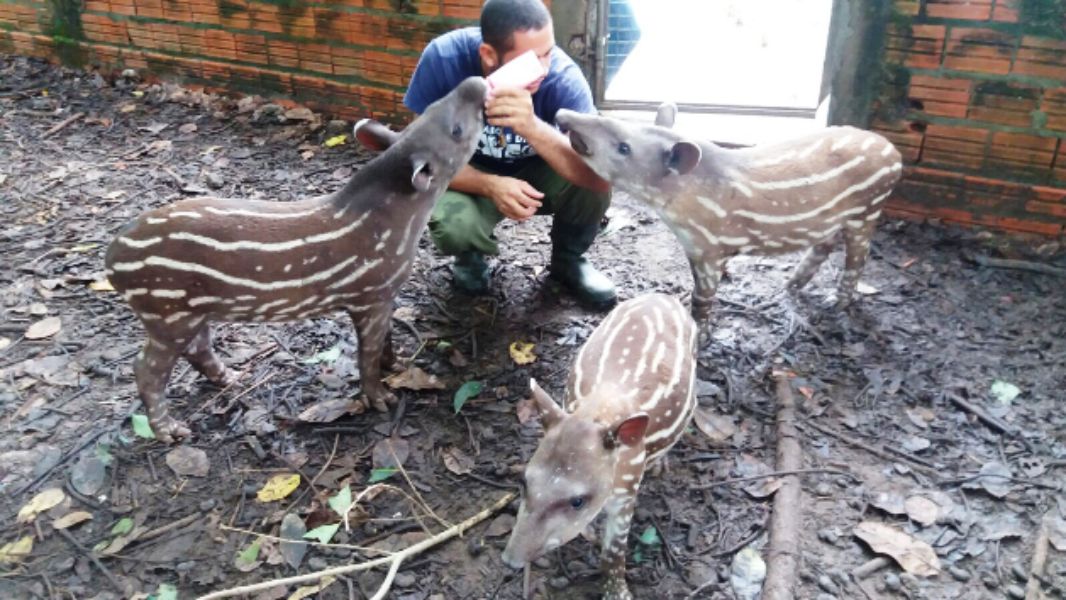 Foto: Tânia Caldas