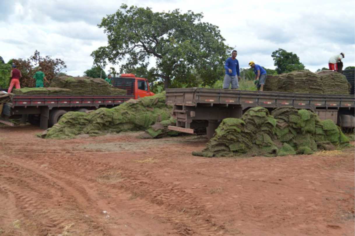 Ascom/Prefeitura de Palmeiras do Tocantins