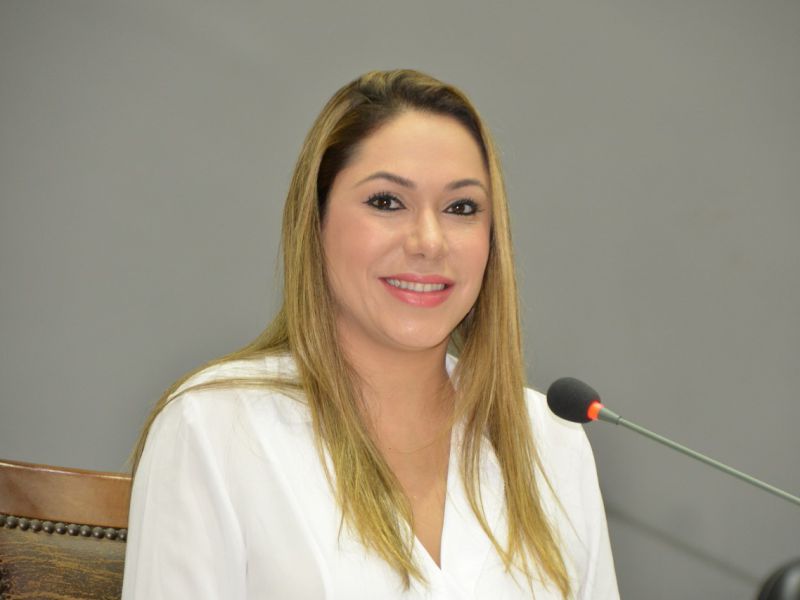 Ascom Deputada Estadual Luana Ribeiro