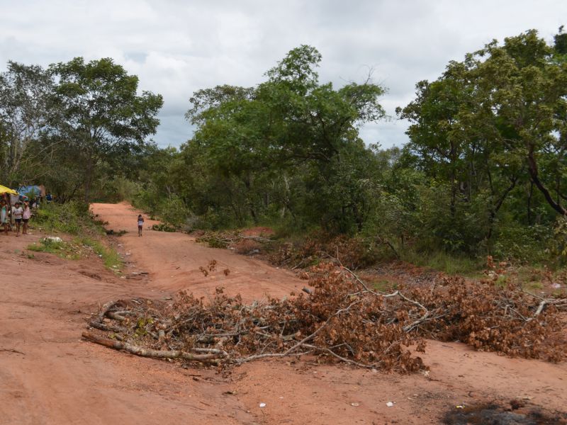 Imagem do site www.tocnoticias.com.br