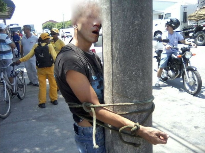 (Foto: Polícia Militar/Divulgação)