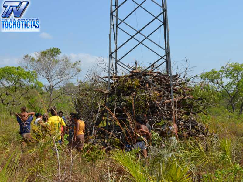 Imagem do Site www.tocnoticias.com.br