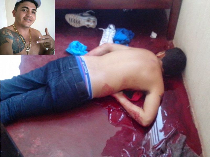 imagem do site noticiadafoto.com.br