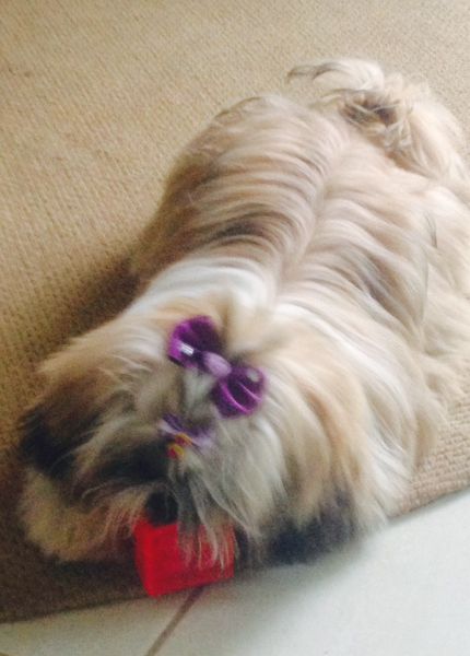 Foto: Arquivo da Familia