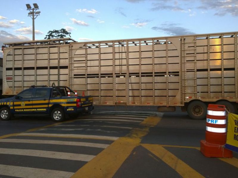 G1 Tocantins