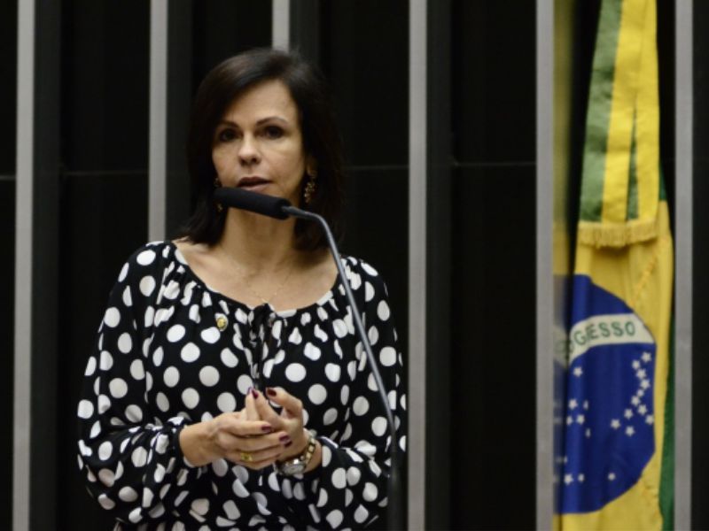 Ascom/Gab. Dep. Fed. Professora Dorinha