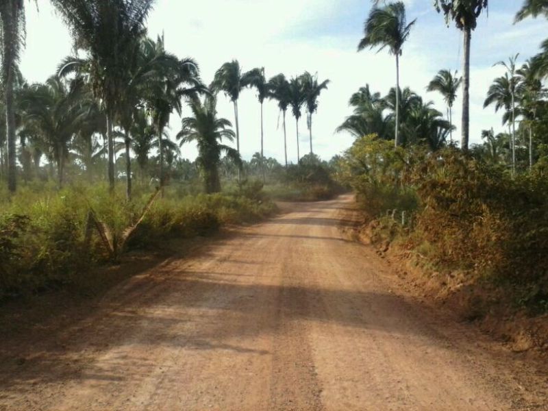 Foto Divulgação prefeitura de Luzinópolis