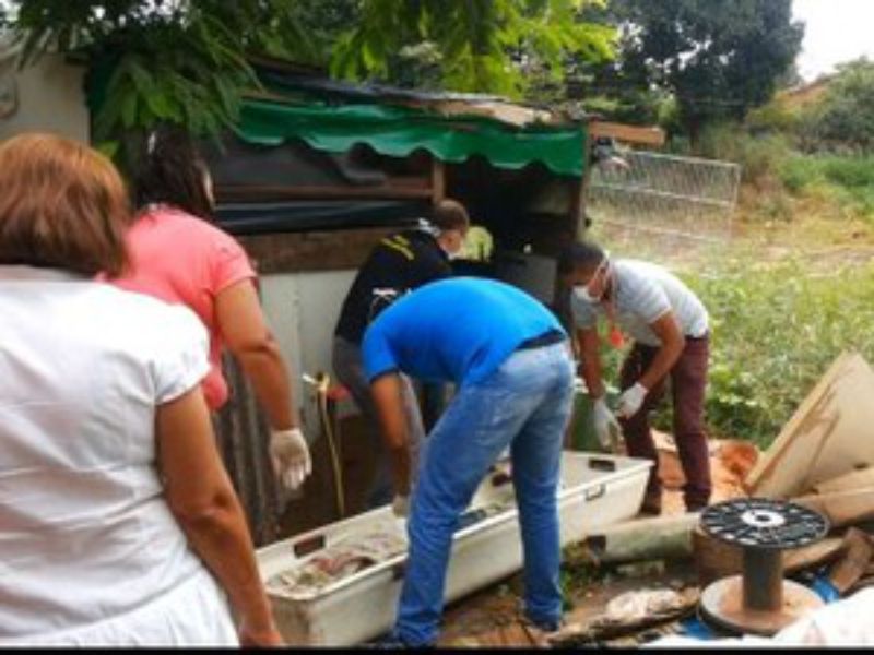 G1 Tocantins