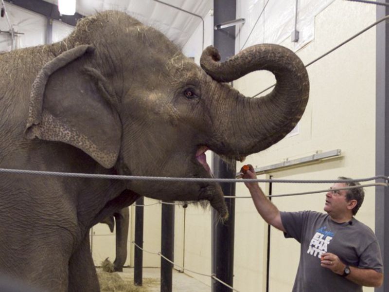 Foto: Robert F. Bukaty/AP