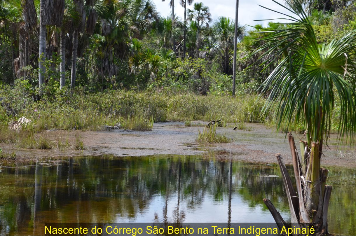 Imagem do Site www.tocnoticias.com.br
