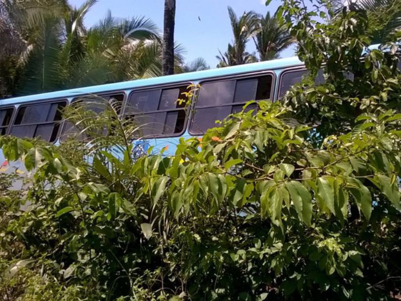G1 Maranhão