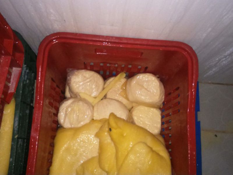 G1 Tocantins