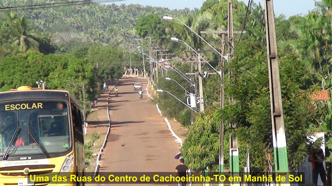 Imagem do Site www.tocnoticias.com.br