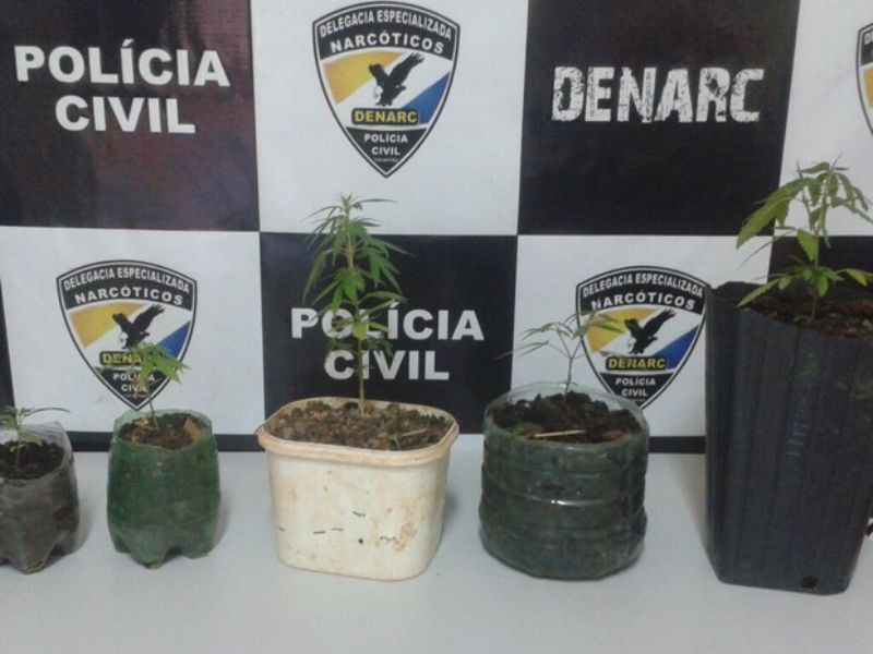 G1 Tocantins