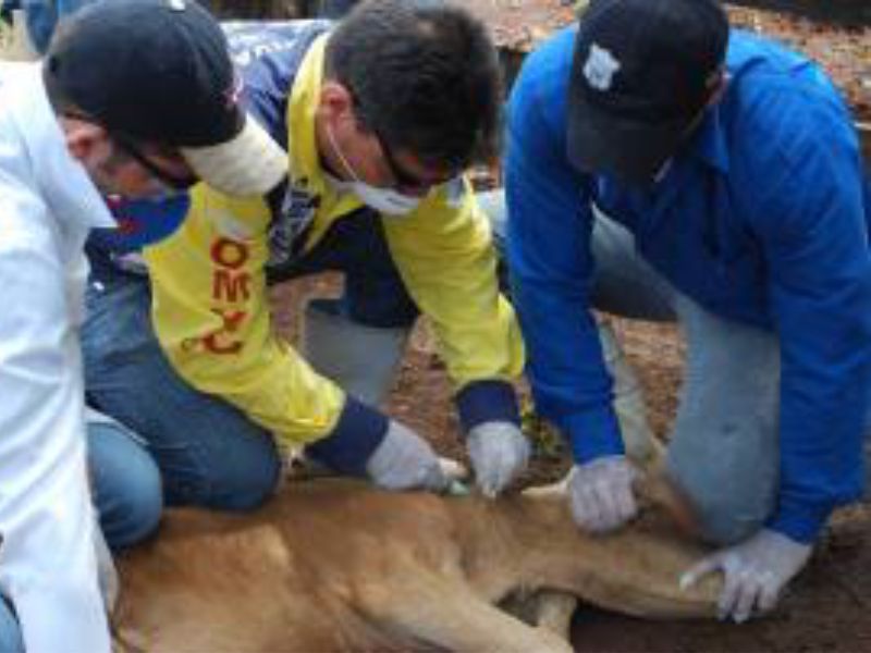 Ascom/ADAPEC/TO