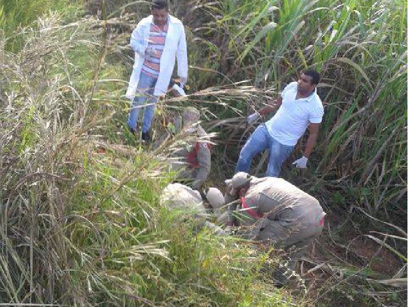 Foto: Divulgação plantaopolicial-ma-to.