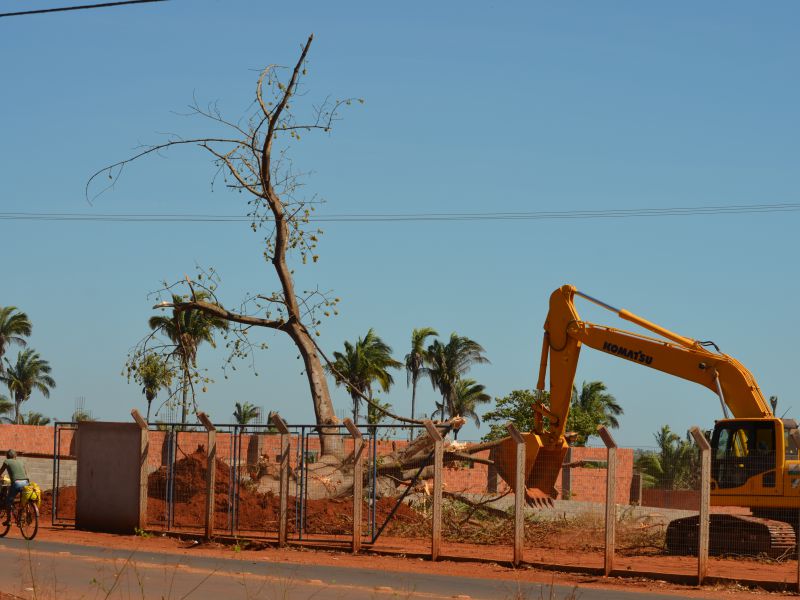 imagem do site www.tocnoticias.com.br