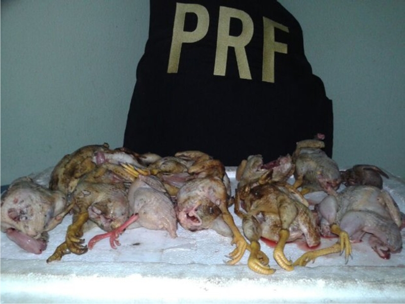(Foto: Divulgação/PRF)