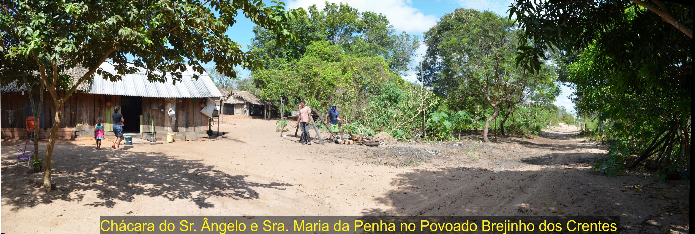 Imagem do Site www.tocnoticias.com.br
