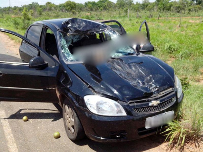 (Foto: Luis Ernandes/Divulgação)