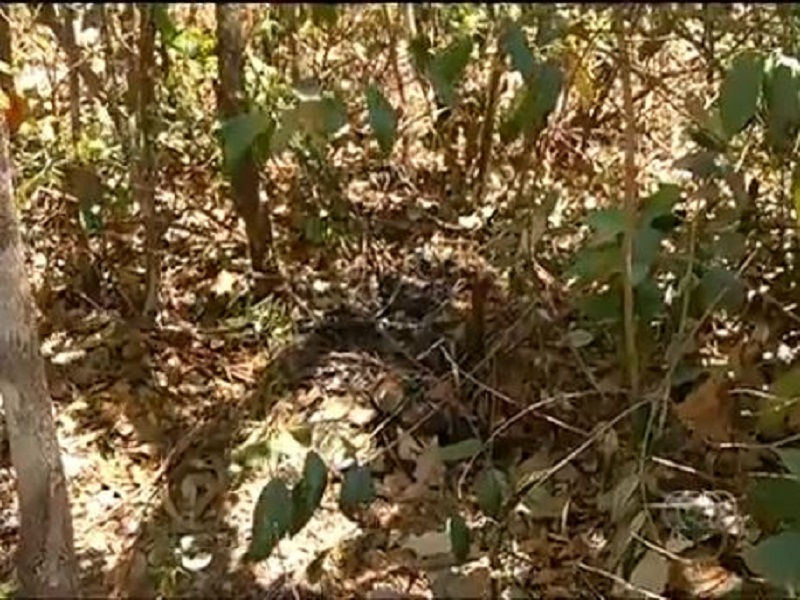 (Foto: Reprodução/TV Anhanguera)