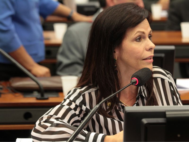 Ascom/Gab. Dep. Fed. Professora Dorinha