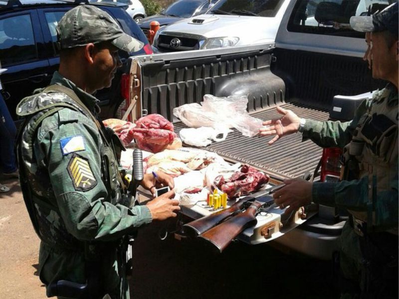 (Foto: Divulgação/Cipra-TO)