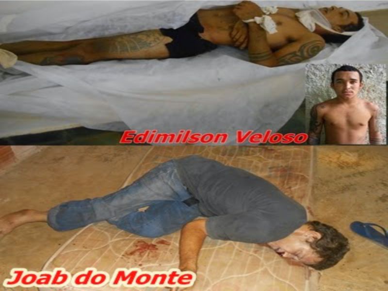 Foto: Folhadopara