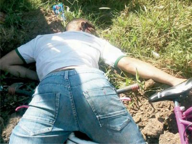 Foto: Divulgação opregressonet