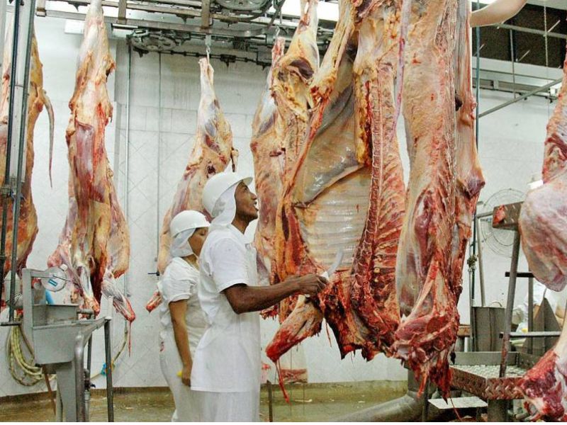 Foto: Divulgação / Governo do Tocantins