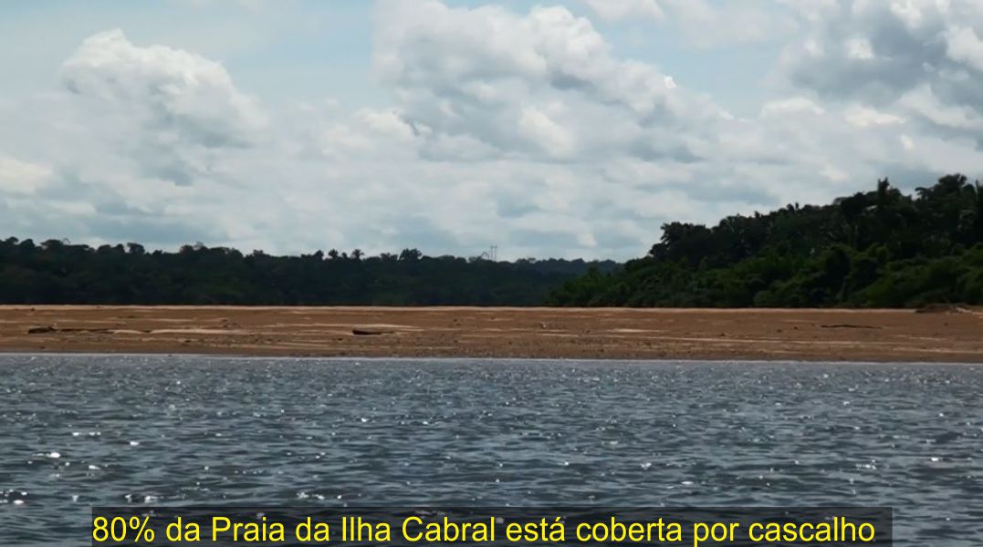 imagens do site www.tocnoticias.com.br