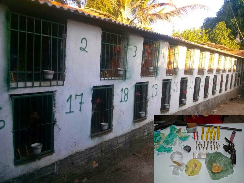(Foto: Divulgação/Blog Noticia da Foto)