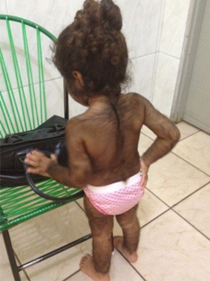 (Foto: Fernanda Borges/G1)