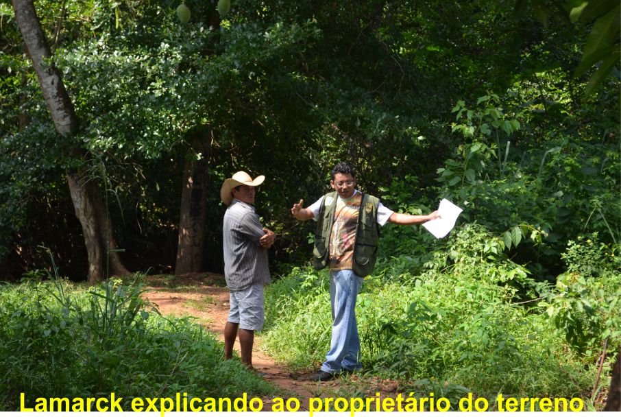 foto do site www.tocnoticias.com.br