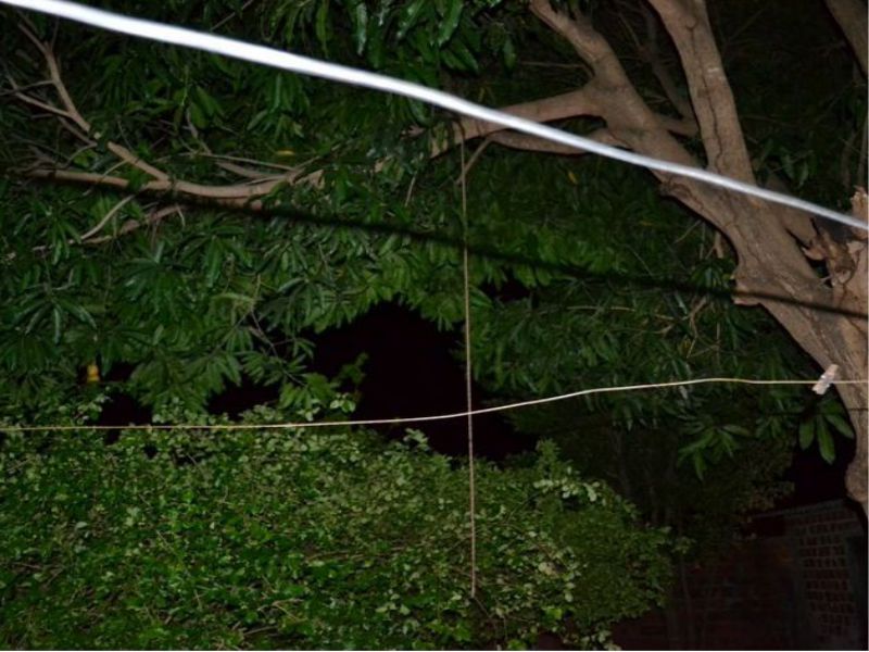 (Foto: Site Surgiu/Divulgação)