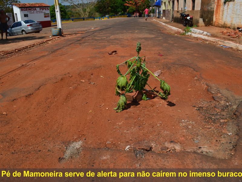 Imagem com direitos autorais do site Tocnoticias.com.br