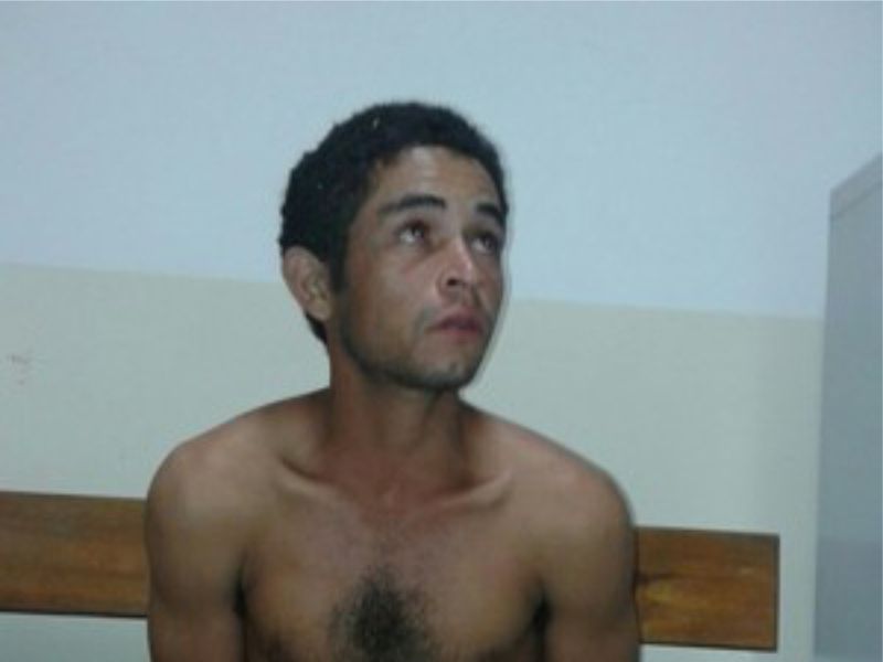 (Foto: Polícia Militar/Divulgação)