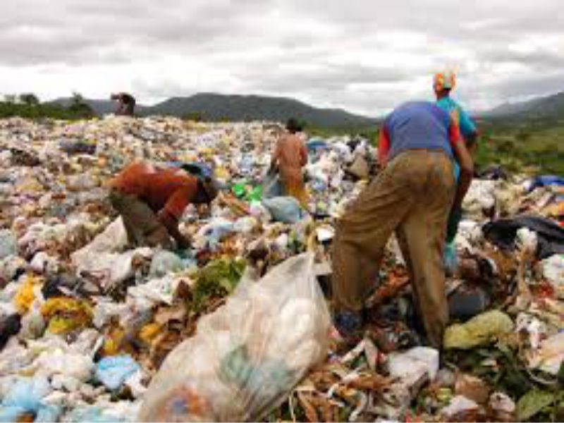 Imagem da Internet