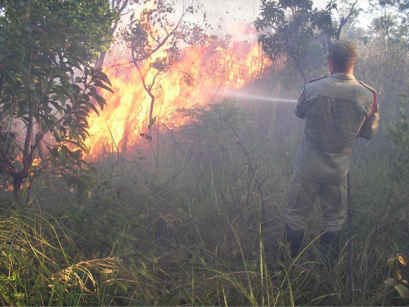 (Foto: Divulgação/Corpo de Bombeiros-TO)