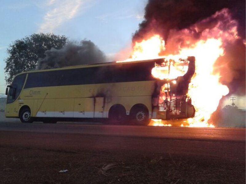 (Foto: Divulgação/PM-TO)