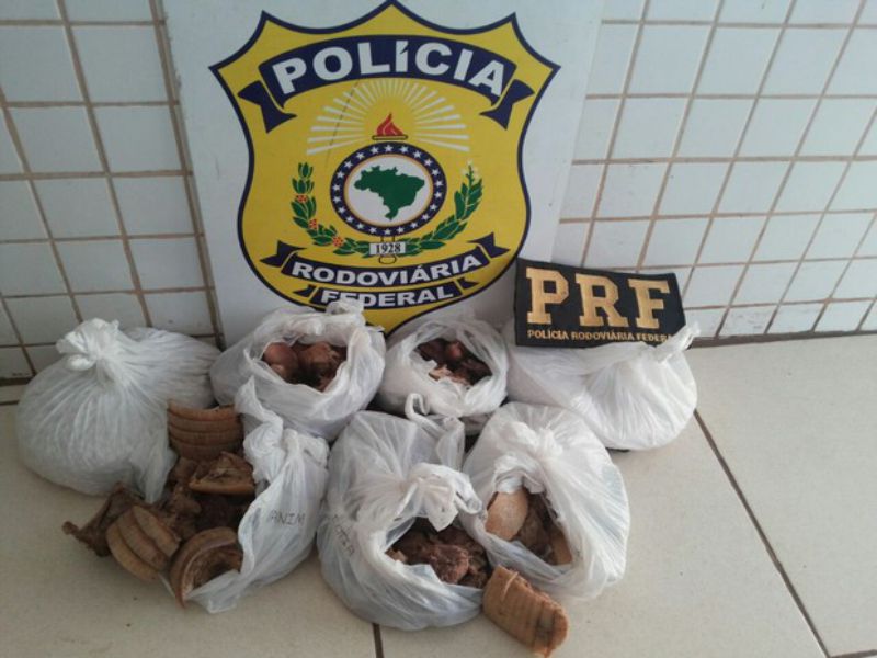 (Foto: Divulgação/PRF-TO)