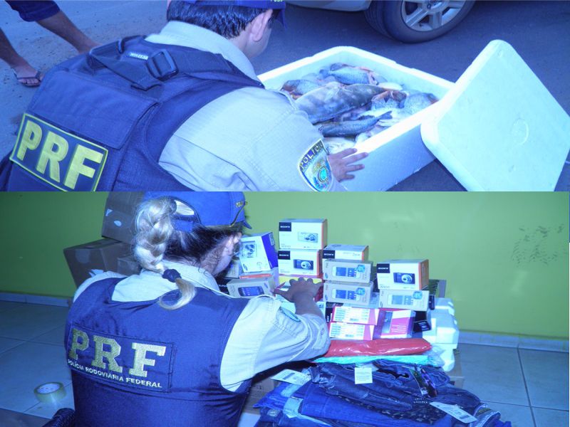 (Foto: Divulgação/PRF-TO)