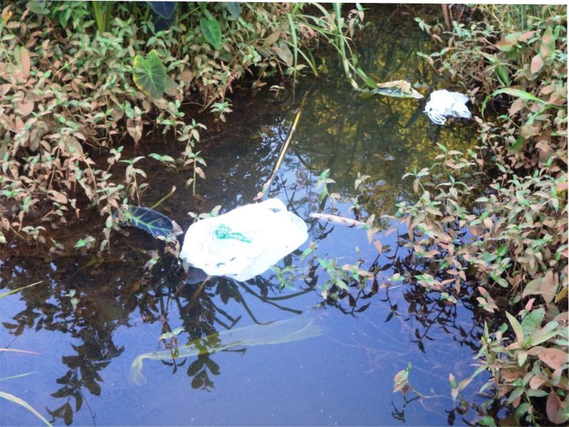 Foto: Dirceu Leno / Ascom prefeitura de Tocantinopolis