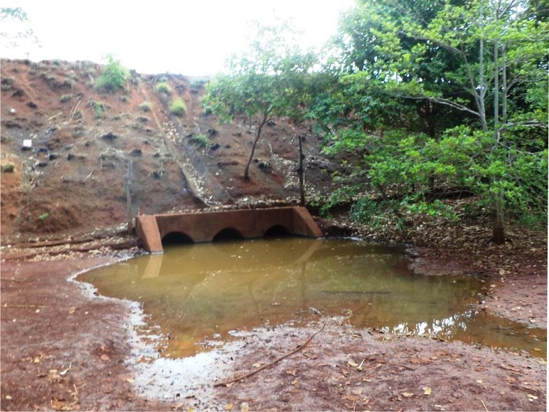 Foto: Dirceu Leno / Ascom prefeitura de Tocantinopolis