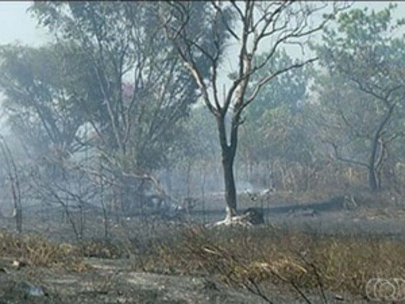 (Foto: Reprodução/TV Anhanguera)