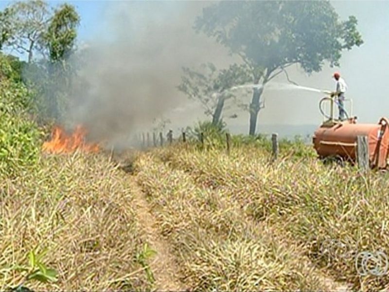 (Foto: Reprodução/TV Anhanguera)