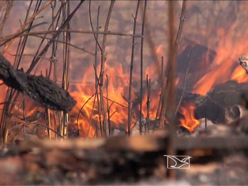 Foto: Reprodução TV Mirante  -MA